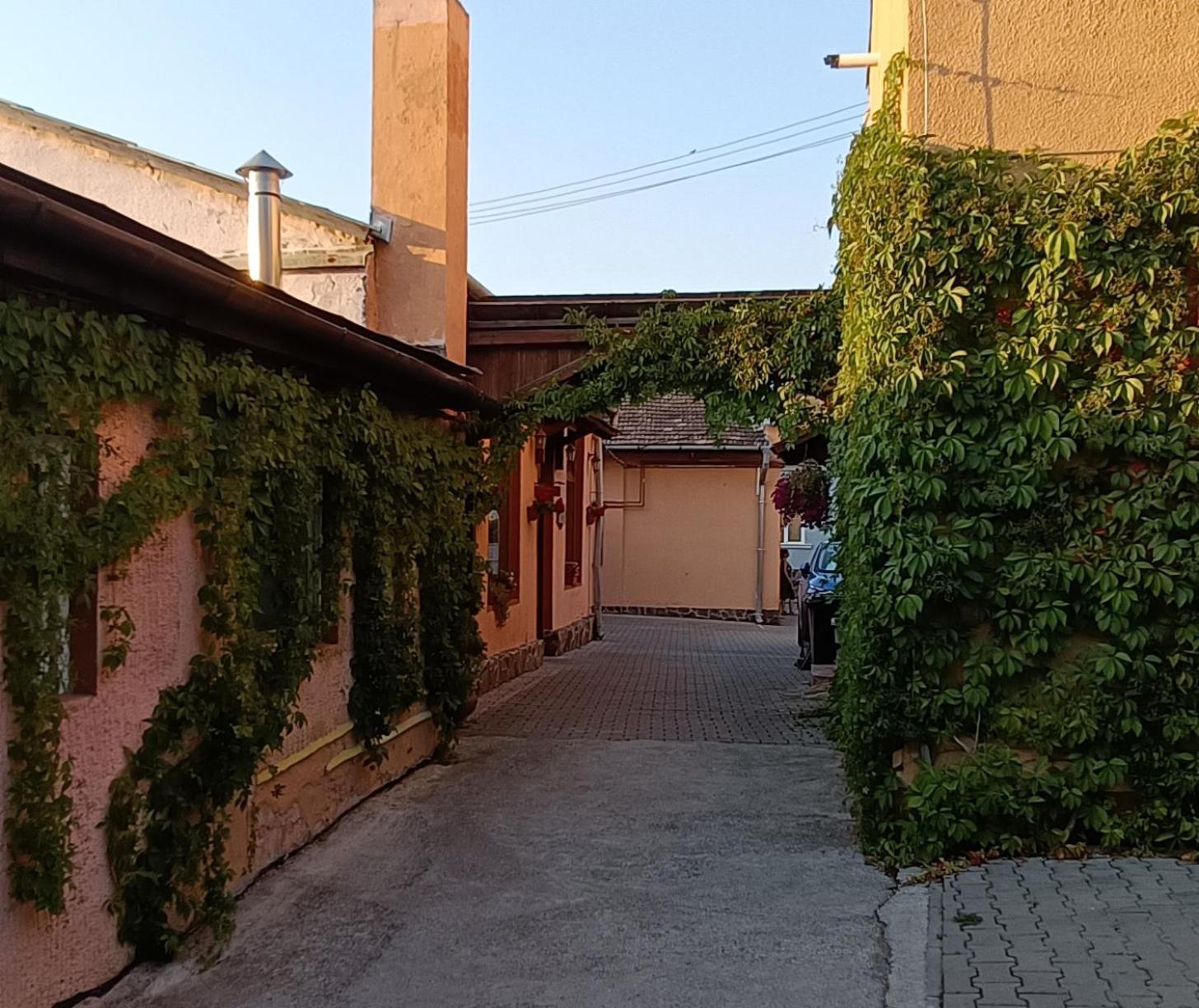 Pensiunea Casa Sighisoreana Sighisoara Exterior photo